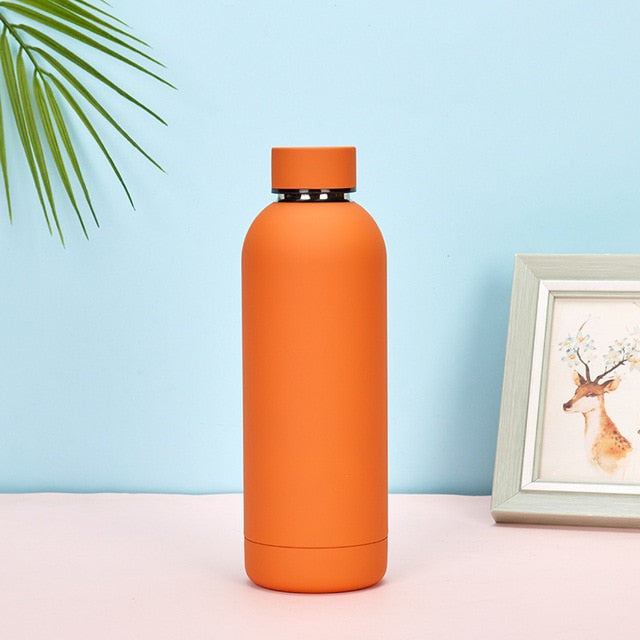 Water Vacuum Bottles 500 ml