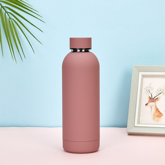 Water Vacuum Bottles 500 ml