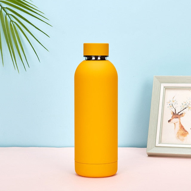 Water Vacuum Bottles 500 ml